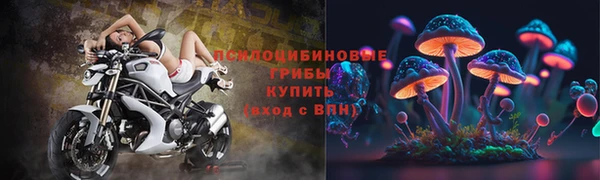 гидра Алексин