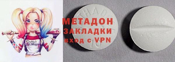 прущие грибы Алзамай
