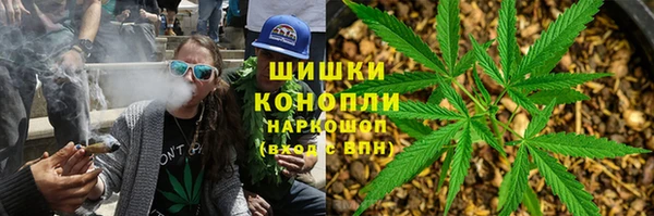 прущие грибы Алзамай