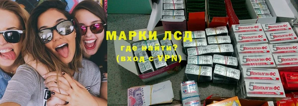 прущие грибы Алзамай