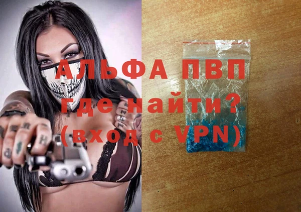 гидра Алексин