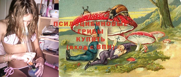 гидра Алексин