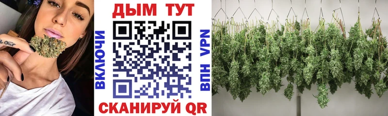 Канабис LSD WEED  дарнет шоп  Бабушкин 